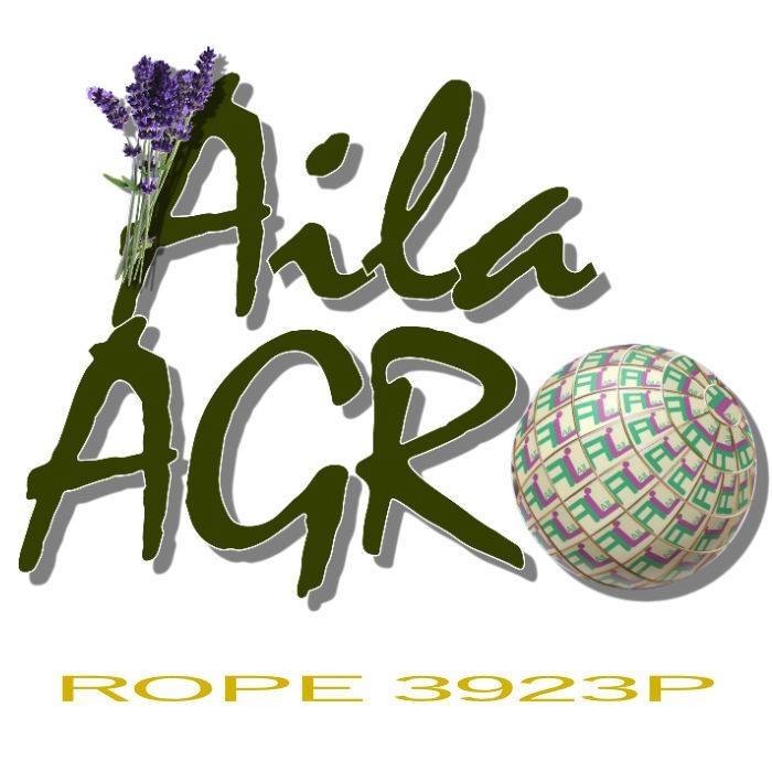 Logotipo